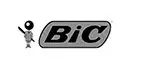 Bic.jpg